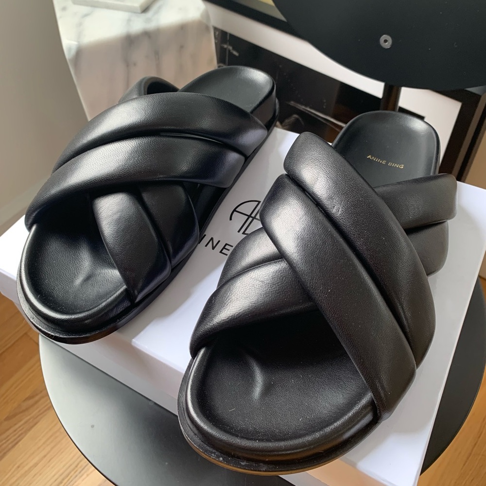Anine Bing Lizzie Slides Size 39